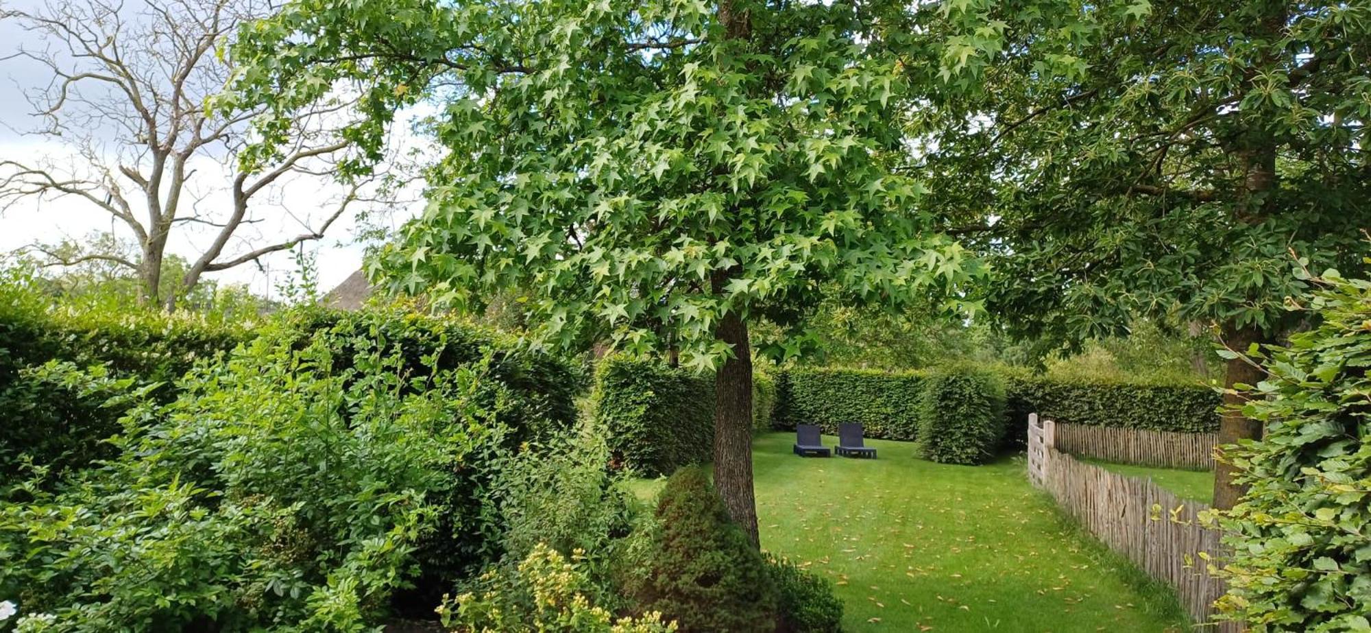 Bed & Breakfast Appenseweg Voorst Gem Voorst Экстерьер фото