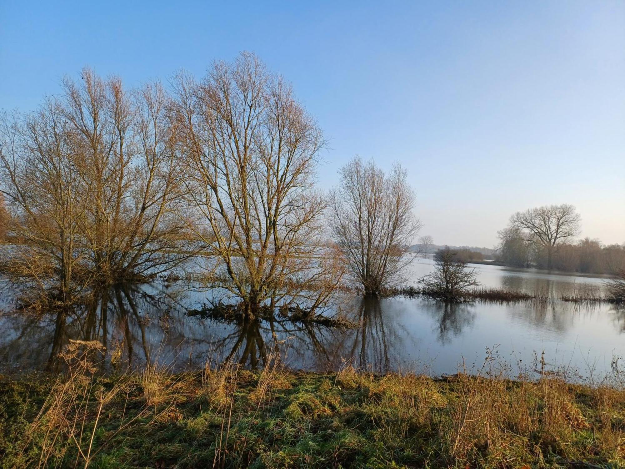 Bed & Breakfast Appenseweg Voorst Gem Voorst Экстерьер фото